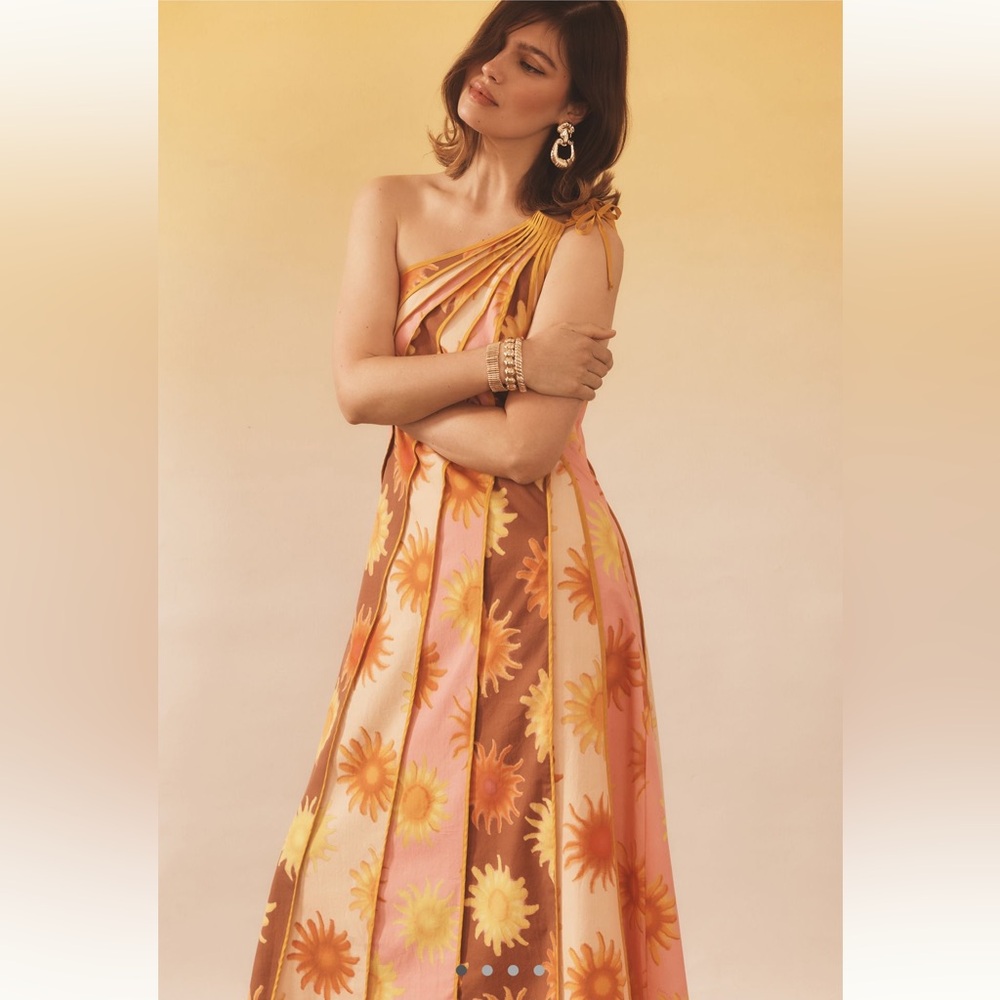 Farm Rio Anthropologie One Shoulder Seamed A-line dress - size large NWT